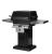 T40 on Pedestal